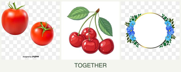Can you plant tomatoes, cherries and zinnias together?