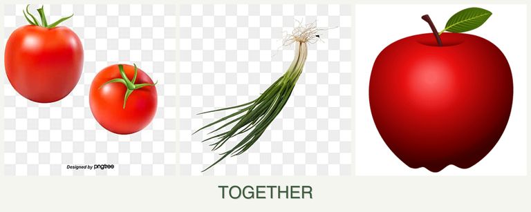 Can you plant tomatoes, chives and apples together?