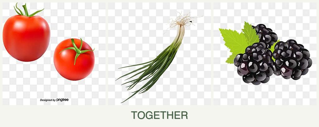 Can you plant tomatoes, chives and blackberries together?