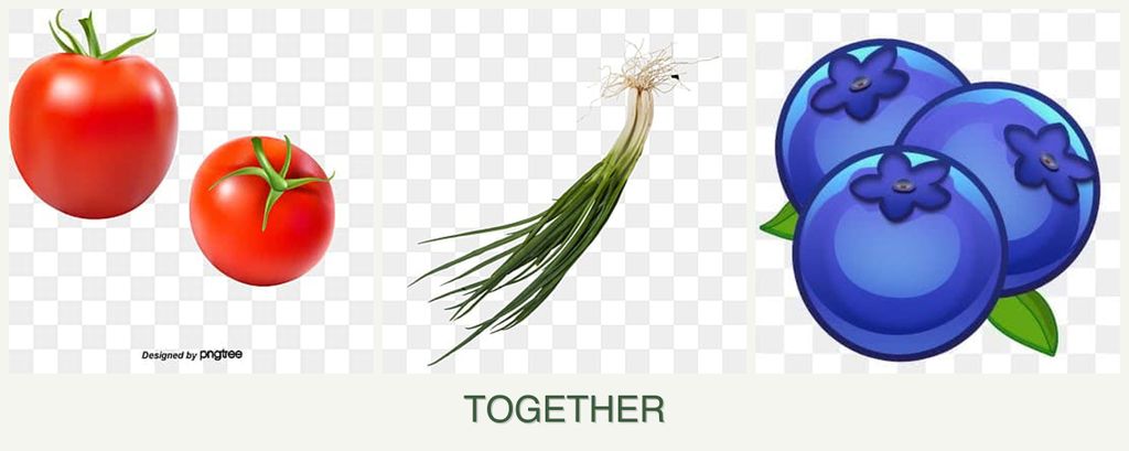 Can you plant tomatoes, chives and blueberries together?