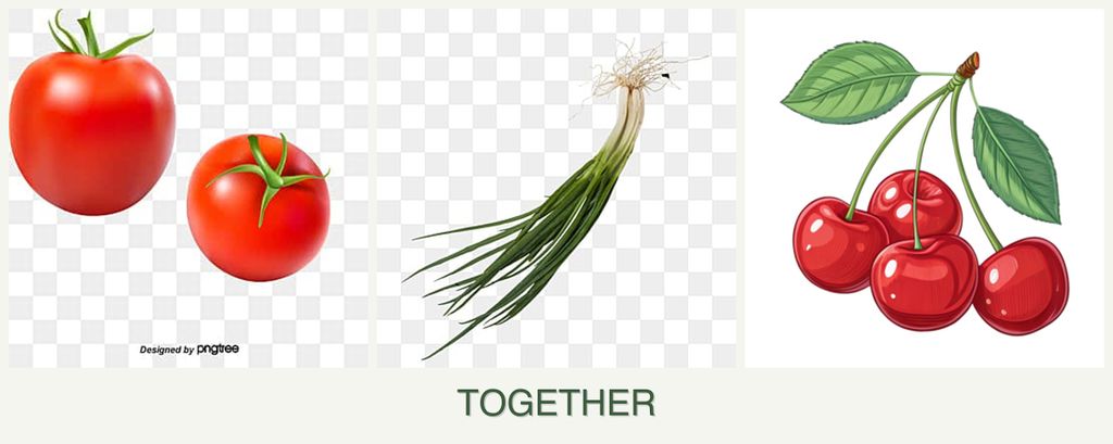 Can you plant tomatoes, chives and cherries together?