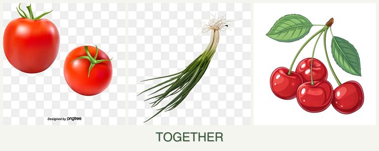 Can you plant tomatoes, chives and cherries together?