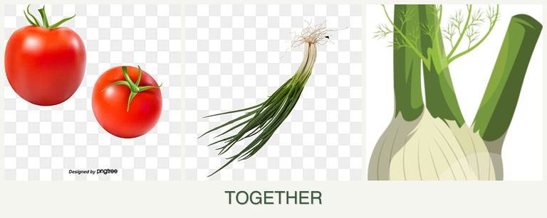 Can you plant tomatoes, chives and fennel together?