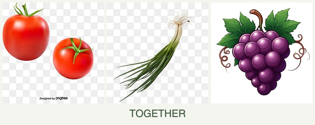 Can you plant tomatoes, chives and grapes together?