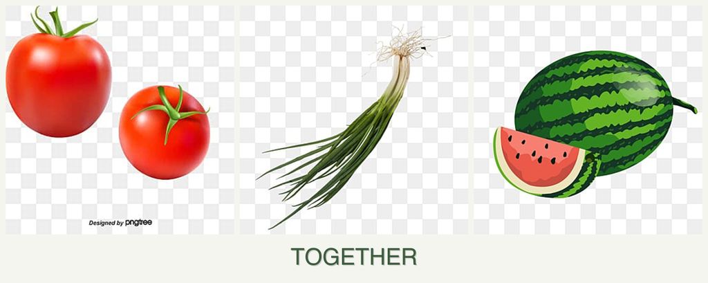 Can you plant tomatoes, chives and melons together?