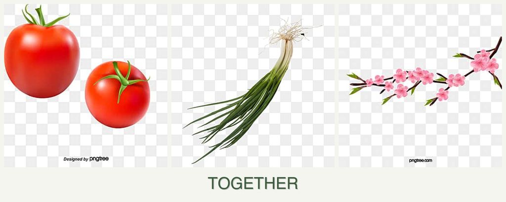 Can you plant tomatoes, chives and peaches together?