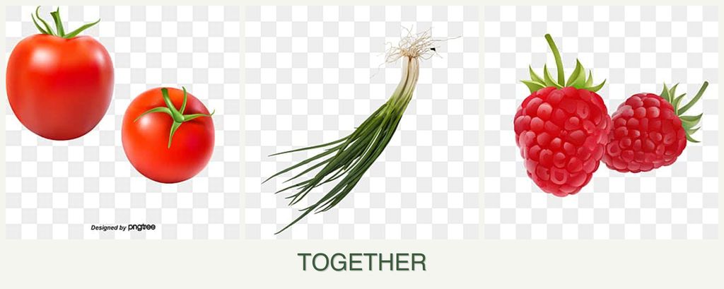 Can you plant tomatoes, chives and raspberries together?