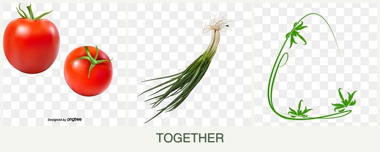 Can you plant tomatoes, chives and tarragon together?
