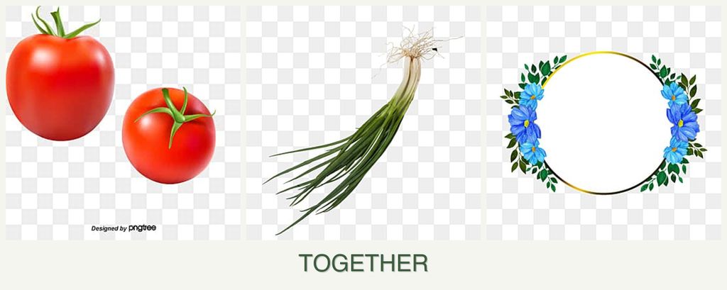 Can you plant tomatoes, chives and zinnias together?