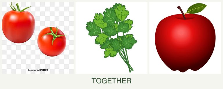 Can you plant tomatoes, cilantro and apples together?