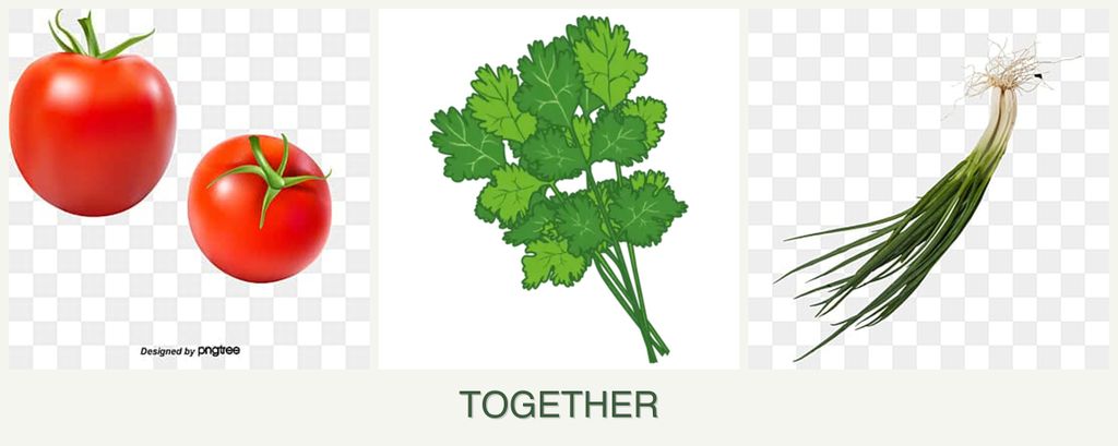Can you plant tomatoes, cilantro and chives together?