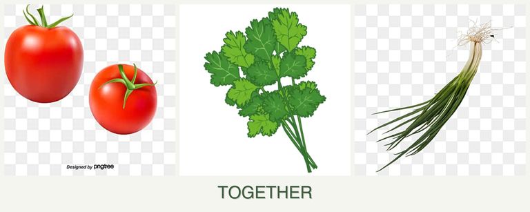 Can you plant tomatoes, cilantro and chives together?
