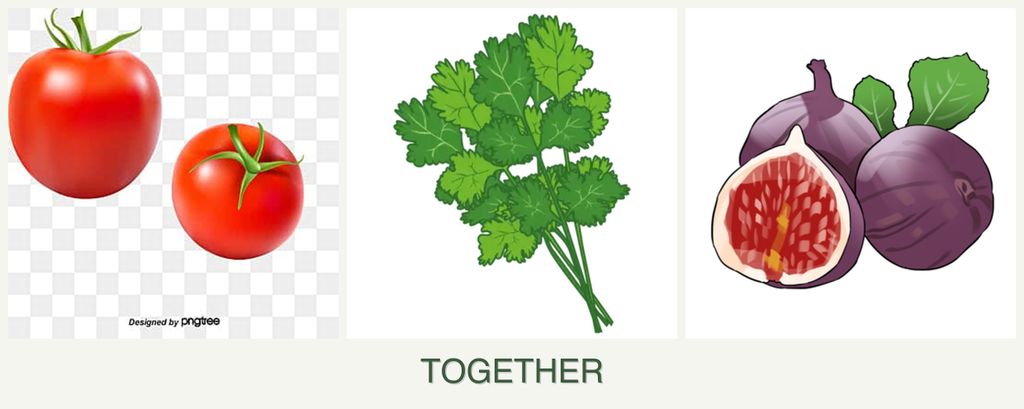 Can you plant tomatoes, cilantro and figs together?