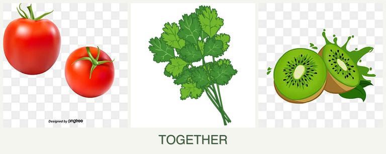 Can you plant tomatoes, cilantro and kiwi together?