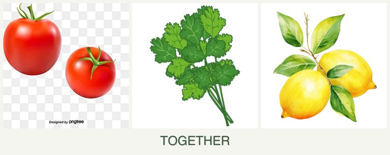 Can you plant tomatoes, cilantro and lemons together?