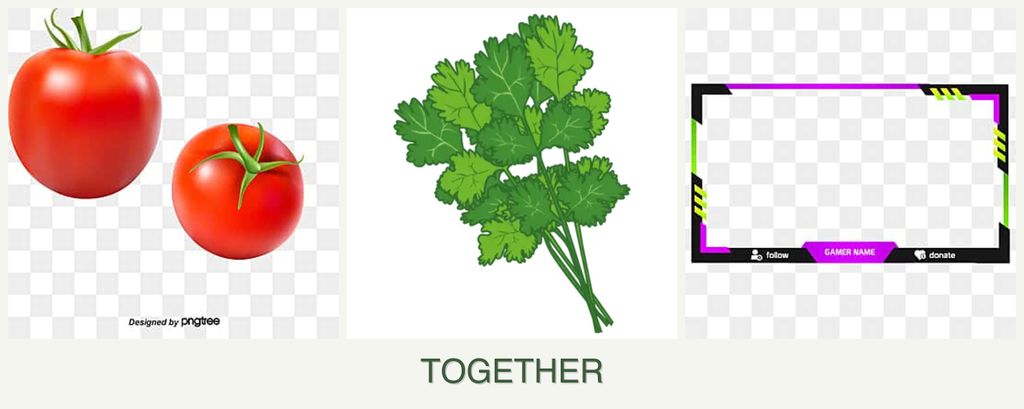 Can you plant tomatoes, cilantro and limes together?