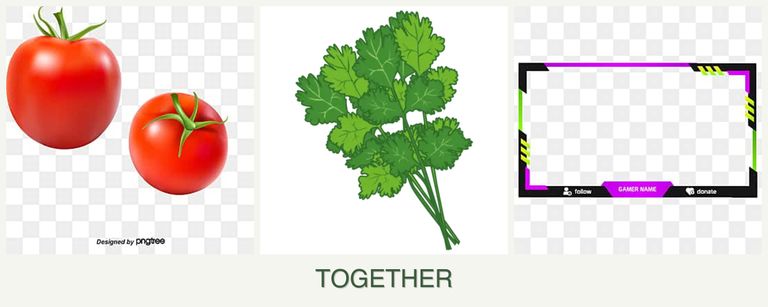 Can you plant tomatoes, cilantro and limes together?