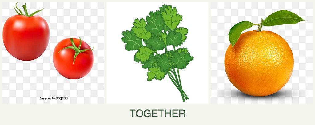 Can you plant tomatoes, cilantro and oranges together?