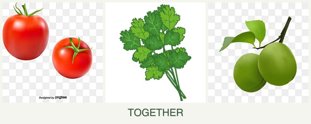 Can you plant tomatoes, cilantro and plums together?