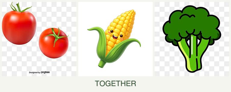 Can you plant tomatoes, corn and broccoli together?