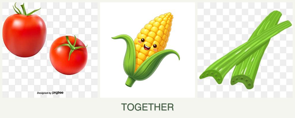 Can you plant tomatoes, corn and celery together?
