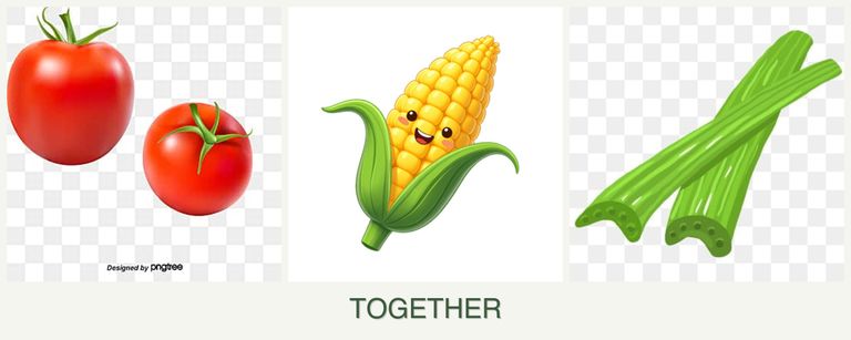 Can you plant tomatoes, corn and celery together?