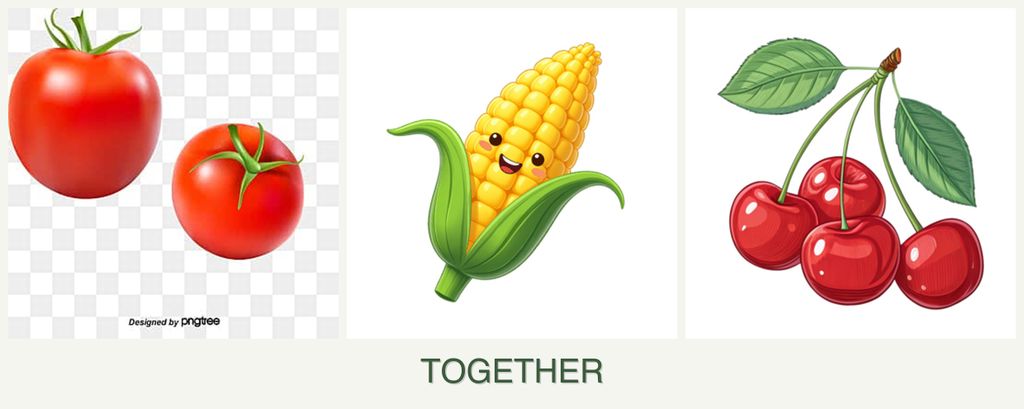 Can you plant tomatoes, corn and cherries together?