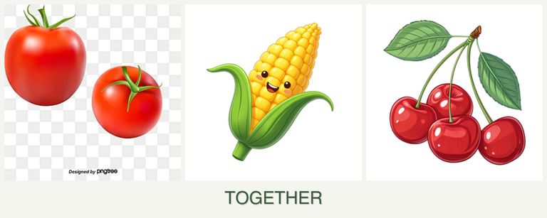 Can you plant tomatoes, corn and cherries together?