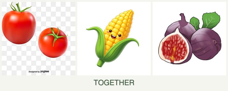 Can you plant tomatoes, corn and figs together?