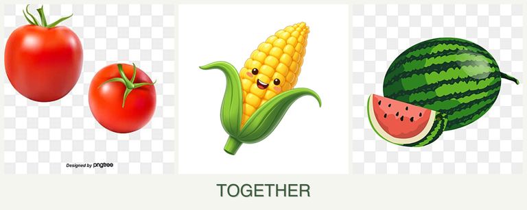 Can you plant tomatoes, corn and melons together?
