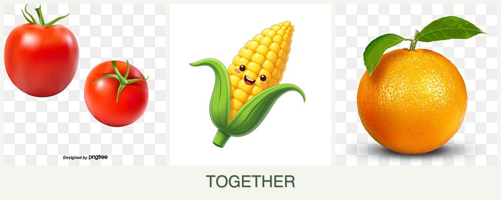 Can you plant tomatoes, corn and oranges together?