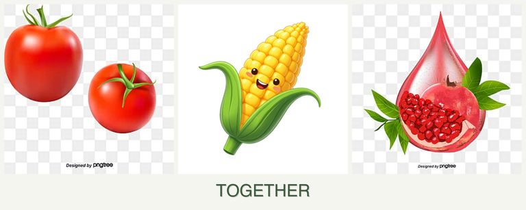 Can you plant tomatoes, corn and pomegranates together?