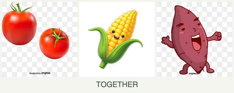 Can you plant tomatoes, corn and sweet potatoes together?