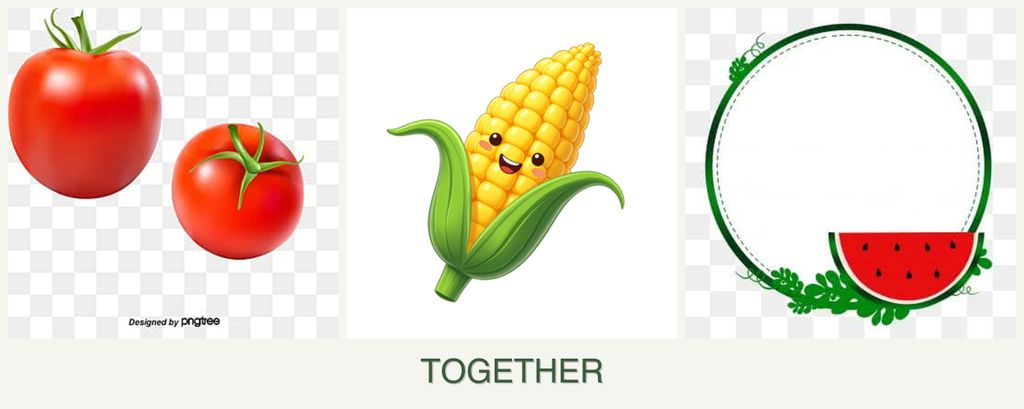 Can you plant tomatoes, corn and watermelons together?