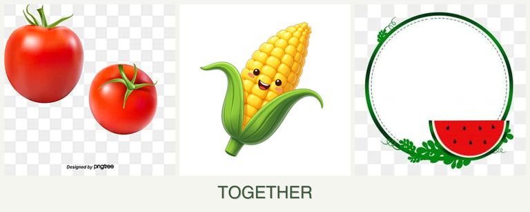 Can you plant tomatoes, corn and watermelons together?