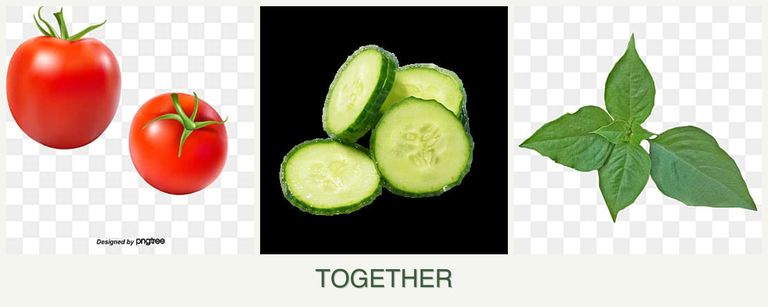 Can you plant tomatoes, cucumbers and basil together?
