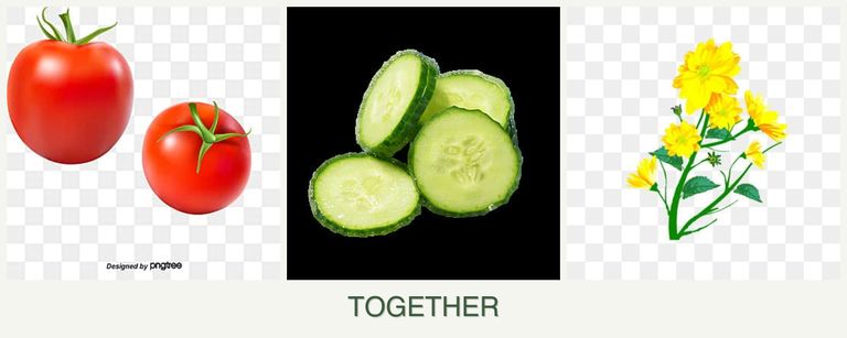 Can you plant tomatoes, cucumbers and calendula together?
