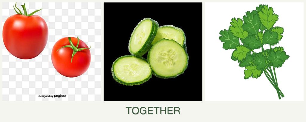 Can you plant tomatoes, cucumbers and cilantro together?