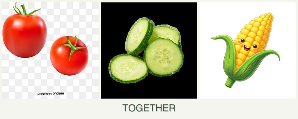 Can you plant tomatoes, cucumbers and corn together?
