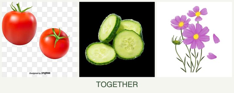 Can you plant tomatoes, cucumbers and cosmos together?