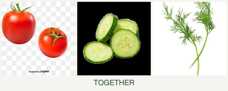 Can you plant tomatoes, cucumbers and dill together?