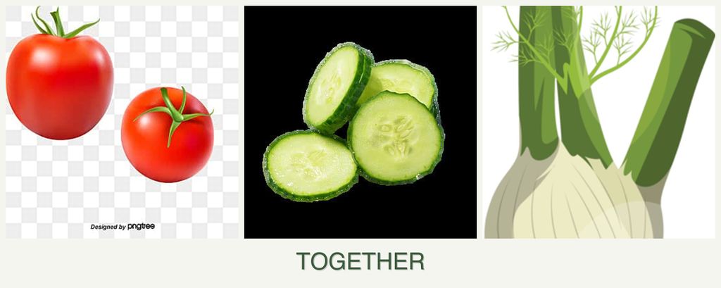 Can you plant tomatoes, cucumbers and fennel together?
