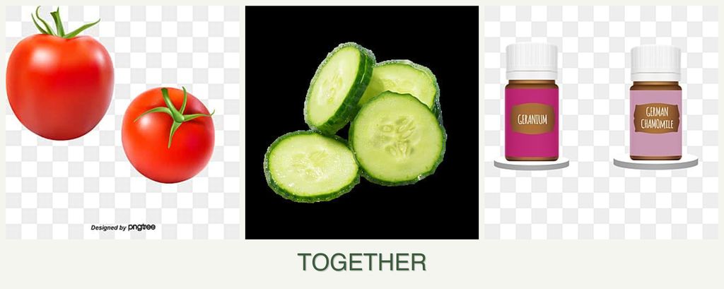 Can you plant tomatoes, cucumbers and geraniums together?