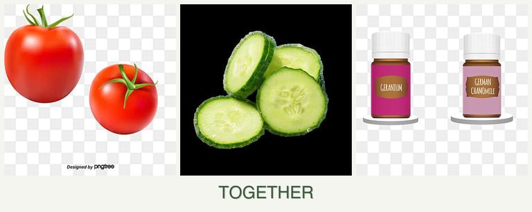 Can you plant tomatoes, cucumbers and geraniums together?
