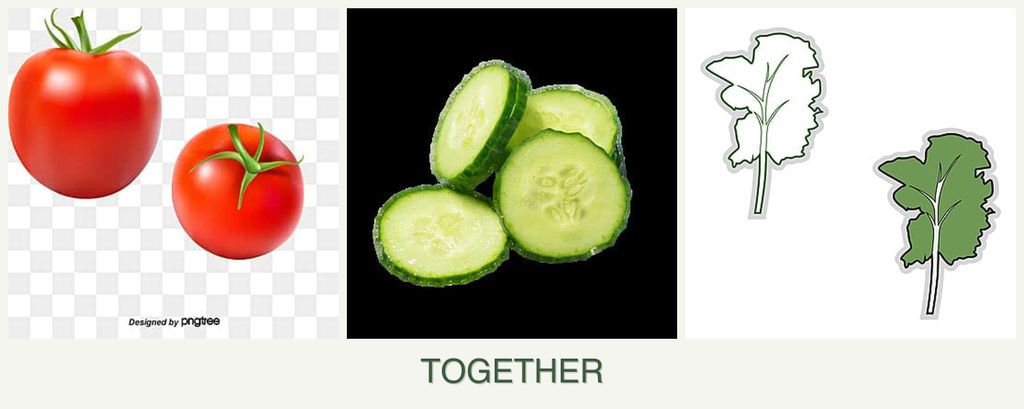 Can you plant tomatoes, cucumbers and kale together?