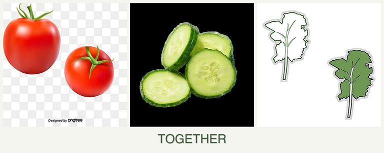 Can you plant tomatoes, cucumbers and kale together?