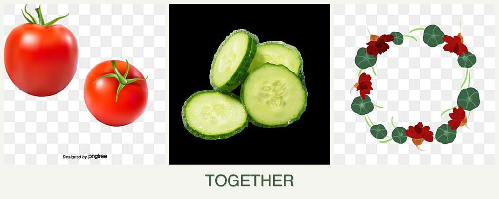 Can you plant tomatoes, cucumbers and nasturtiums together?