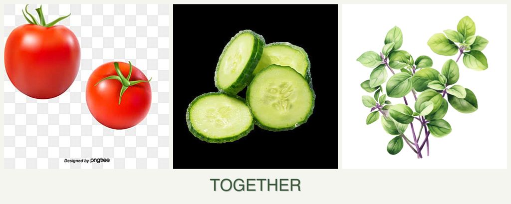 Can you plant tomatoes, cucumbers and oregano together?
