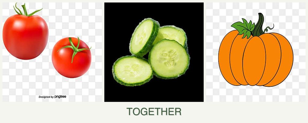 Can you plant tomatoes, cucumbers and pumpkin together?