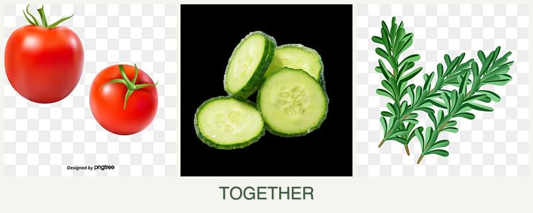 Can you plant tomatoes, cucumbers and rosemary together?